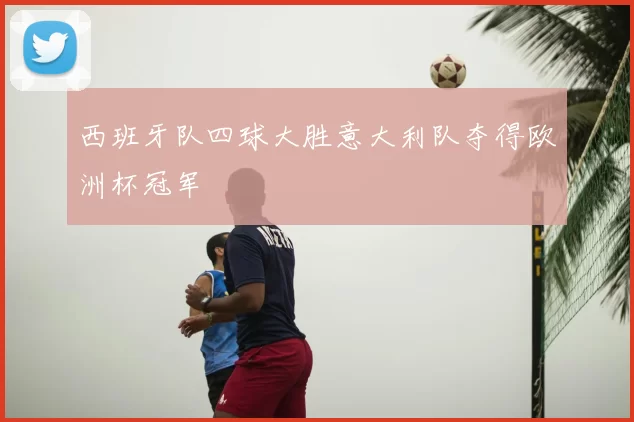 西班牙队四球大胜意大利队夺得欧洲杯冠军