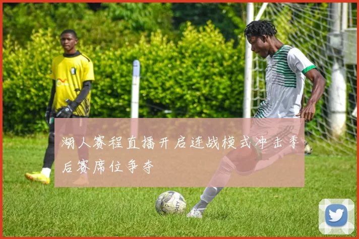 湖人赛程直播开启连战模式冲击季后赛席位争夺