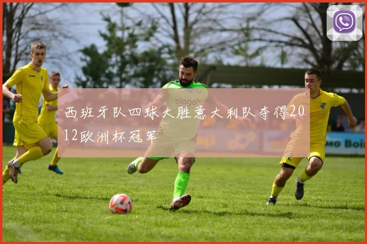 西班牙队四球大胜意大利队夺得2012欧洲杯冠军