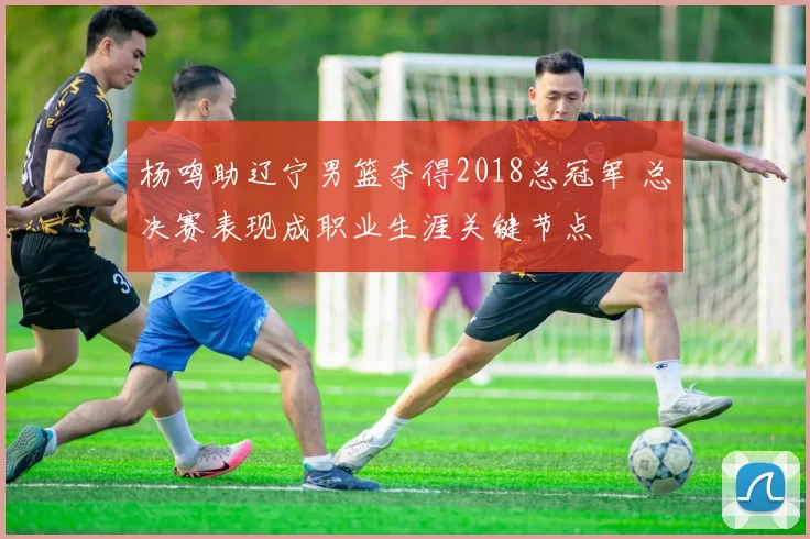 杨鸣助辽宁男篮夺得2018总冠军 总决赛表现成职业生涯关键节点