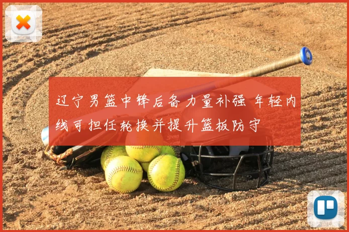 辽宁男篮中锋后备力量补强 年轻内线可担任轮换并提升篮板防守