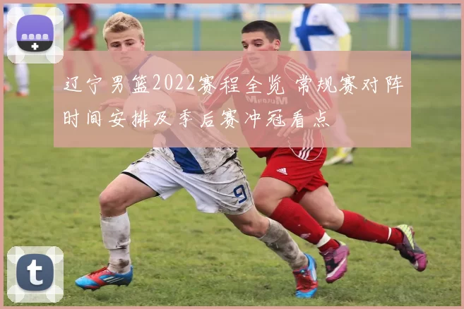 辽宁男篮2022赛程全览 常规赛对阵时间安排及季后赛冲冠看点